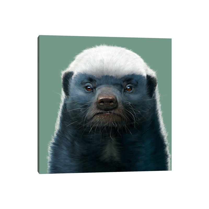 « Honey Badger » par Vincent HIE-impression d’art graphique, H 37 po x l 37 po x P 1,5 po, Toile tendue
