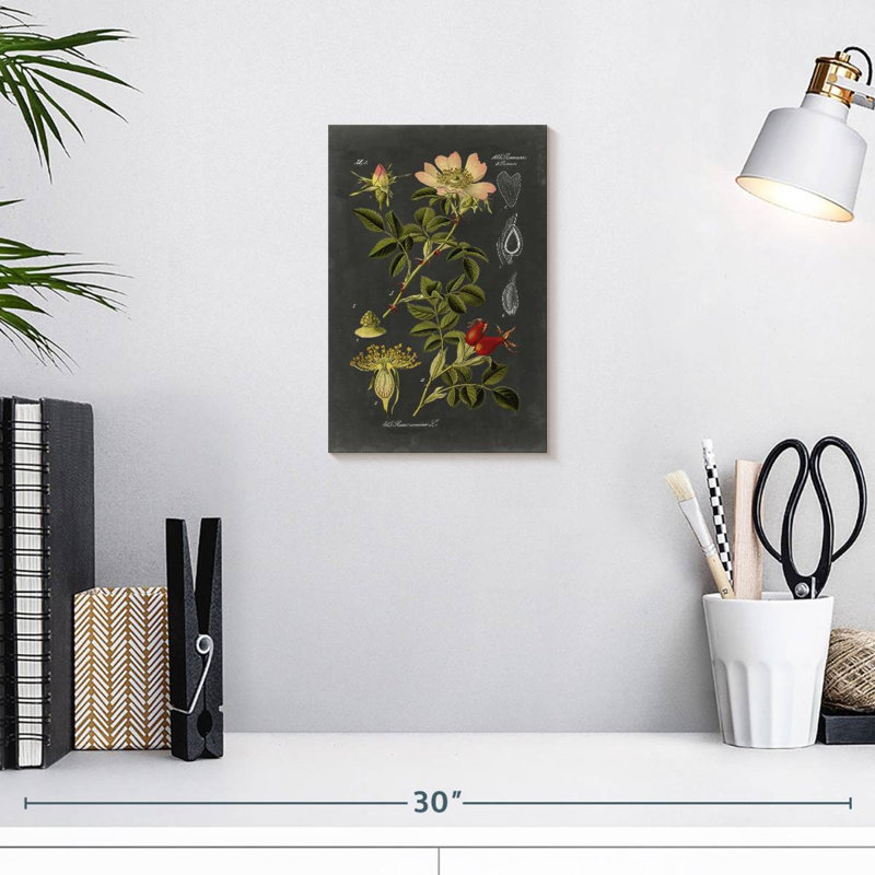 Keiri Midnight Botanical I, H 12 po x l 8 po