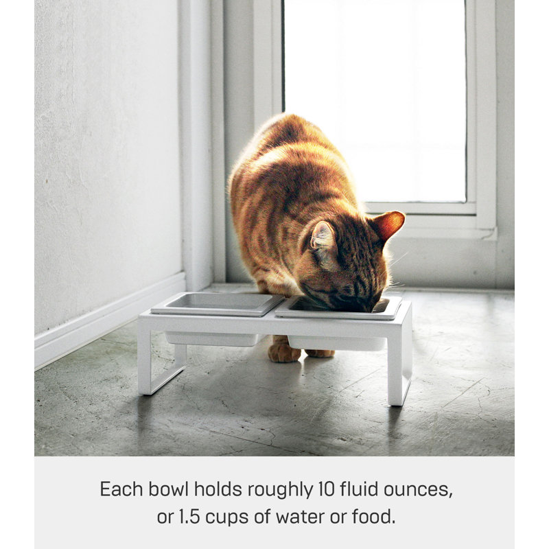 White Elevated Steel and Ceramic Pet Food Stand with Two Bowls