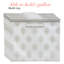 Contenant alimentaire Gallon