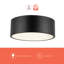 Mossy 2 Light Flush Mount-66310626