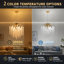 Modern Gold Tree Branch Crystal Chandelier, 12", G9 (No Bulb)