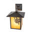 1 - Light Armed Sconce