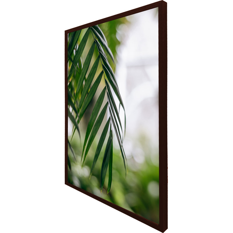 Accursia Single Picture Frame Print, 114cm H x 76cm W x 4cm D, Brown Framed