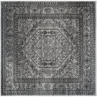 Amedee Performance Oriental Rug