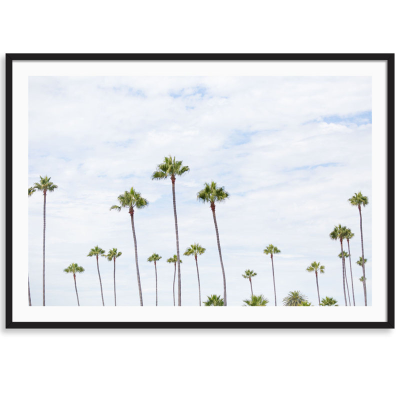 Montecito Palms Print by Carly Tabak, Black Wood, 44" W x 31" H
