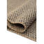 Carpet-1446359714