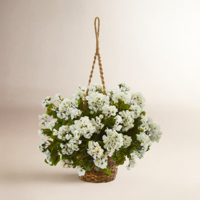 UV Resistant Geranium Hanging Basket