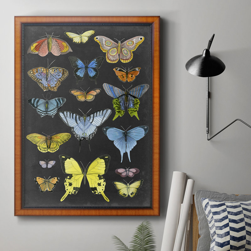 Toile encadrée de qualité graphique avec papillons taxonomiques II - prête à être accrochée, H 27 po x l 18 po x P 2,5 po