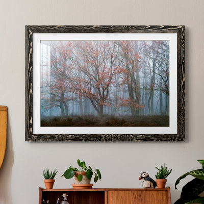 " Misty Contrasts "