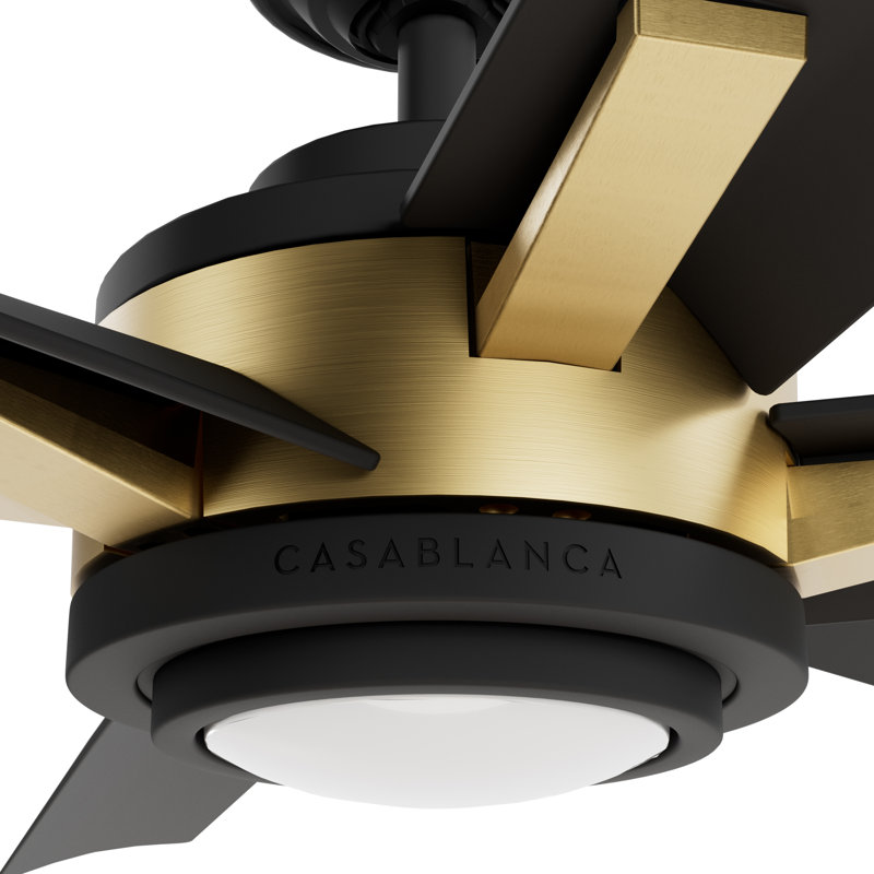 Casablanca 65 inch Melia ENERGY STAR®  Damp Rated Ceiling Fan with Lights and Wall Control, Black/Gold