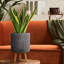 Concrete Effect Cylinder Round Planter on Hardwood Legs, Round Indoor Plant Pot Stand for Indoor Plants, Indoor Flower Pot with Ribbed Pattern-529439275-529439269
