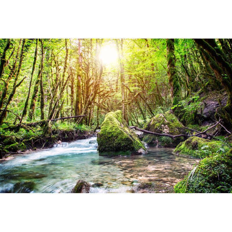 Beautiful Wild Fresh Water Stream In Forest by Gregory_DUBUS - No Frame Art Prints on Canvas, 30cm H x 46cm W