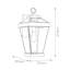 Watervale Black 51cm H Outdoor Wall Lantern