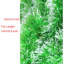 Anelija Polyvinyl Chloride (PVC) 7.99cm Tinsel