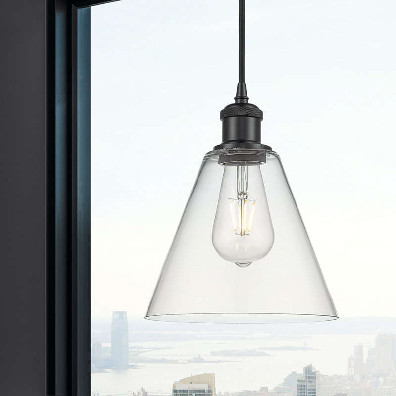Luminaire suspendu conique à 1 lumière Halyn, H 11,75 po x l 8 po x P 8 po, Transparent, Noir mat