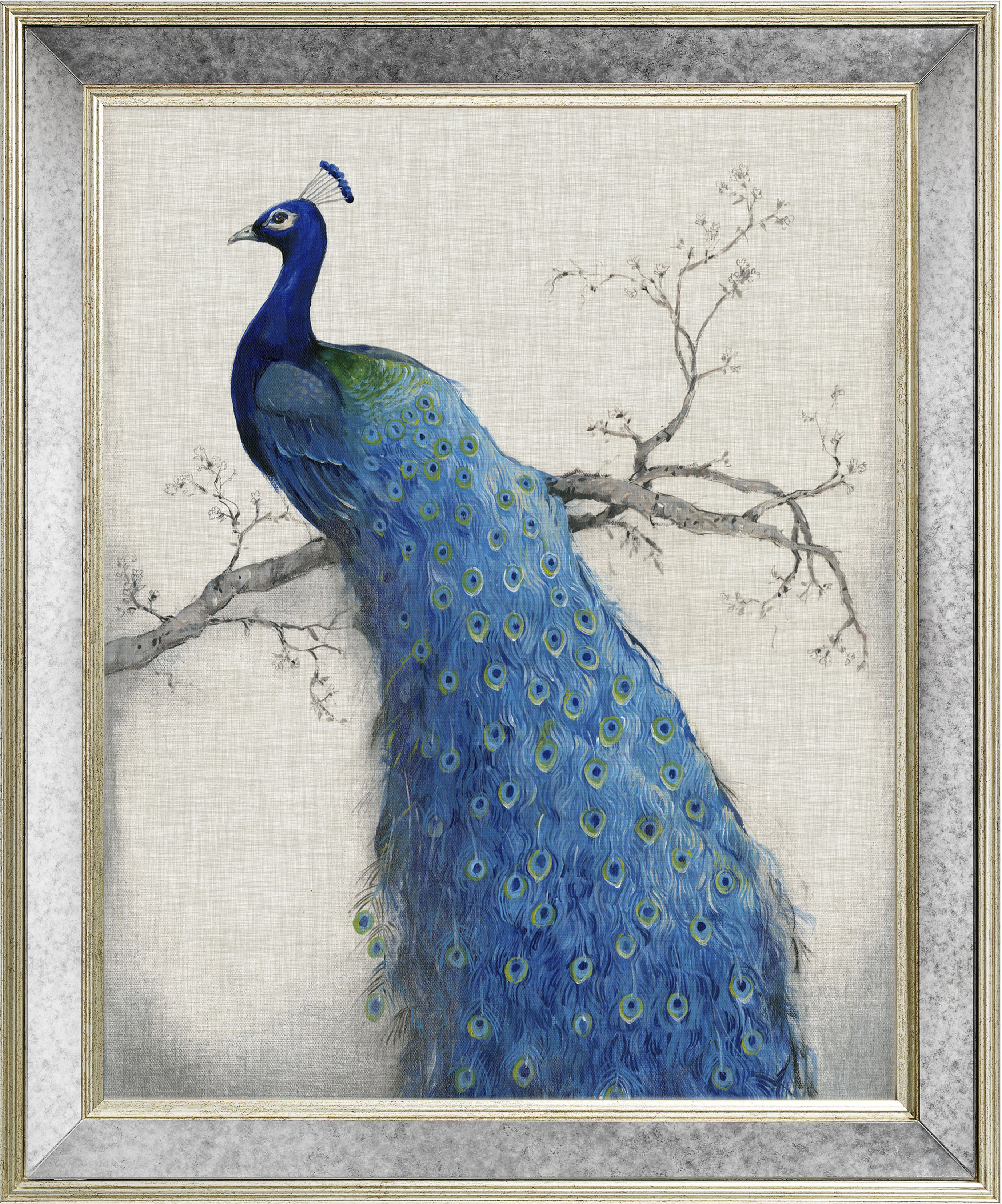 framed peacock pictures