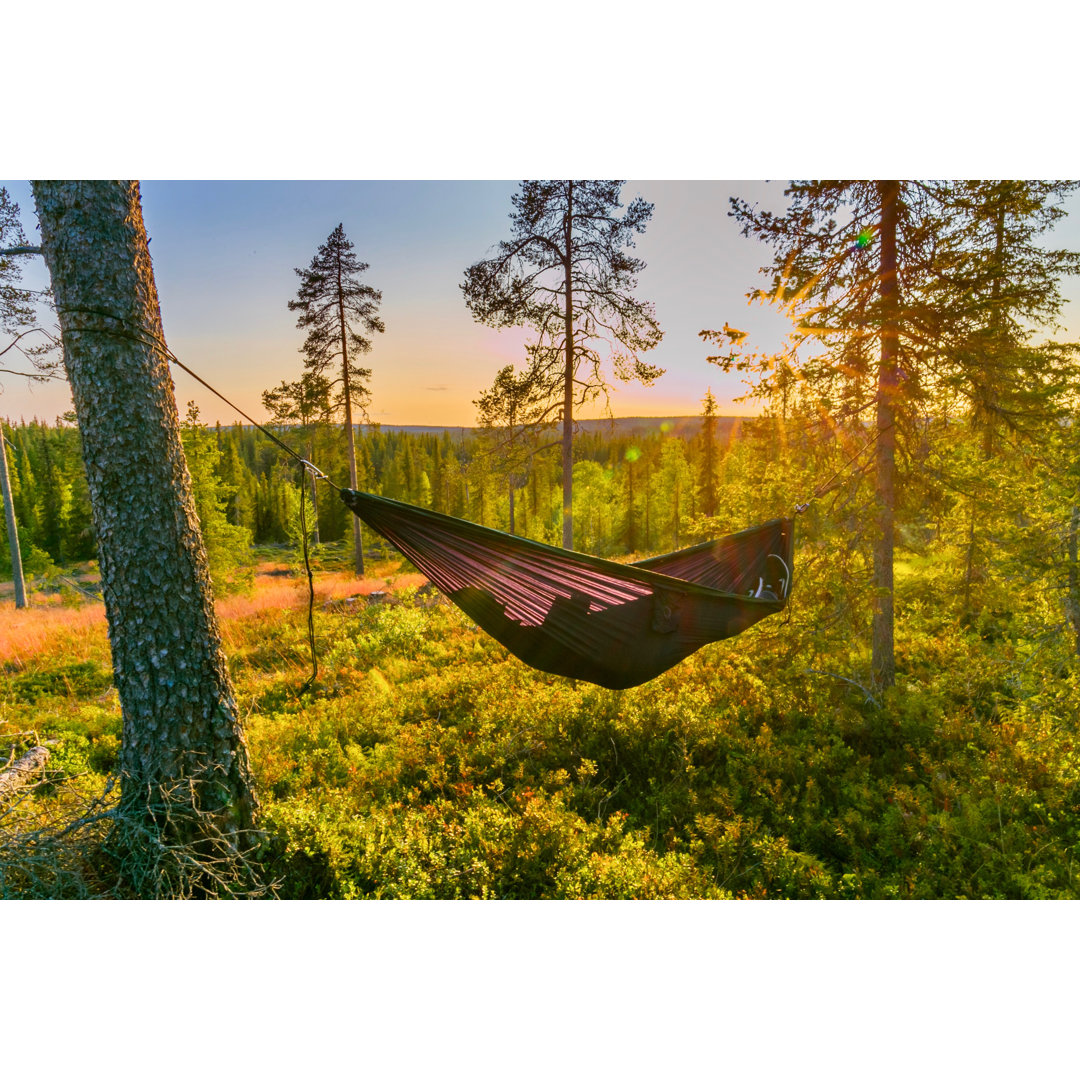 Leinwandbild Hammock in Lapland