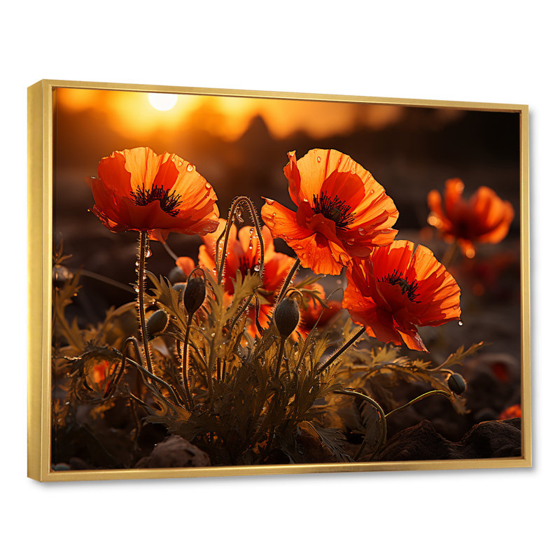 Coucher de soleil coquelicots dans la prairie, Cadre flottant doré, H 16 po x l 32 po