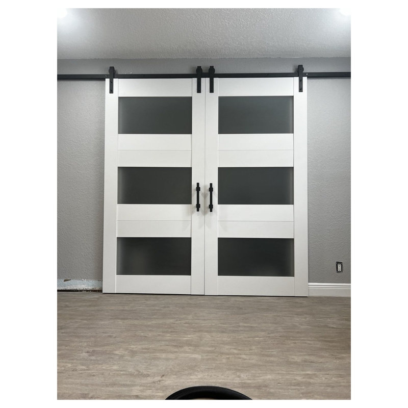 Ensemble de portes de grange doubles modernes 6003, rail de 4 m (13 pi), portes intérieures à panneaux pleins - 122 cm x 203 cm (48 po x 80 po) (2 x 61 cm x 203 cm) - Rail argenté