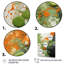 Vert et jaune abstrait avocat III - fruits, art mural-745885604