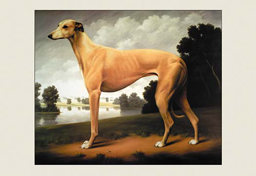 " Greyhound On A Parkland Landscape " by Christine Merrill Buyenlarge