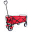 Chariot de plage pliable-113855341