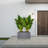 Phineus Metal Planter Box