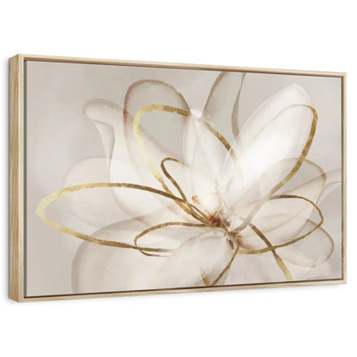 Transparent Beauty