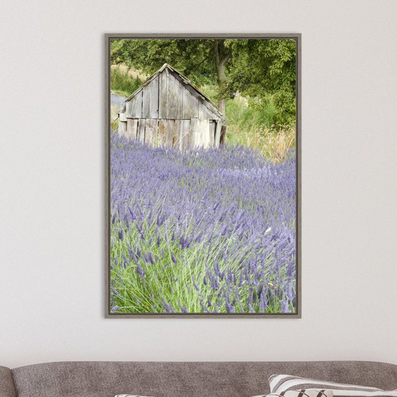 Reproduction de photo sur toile, "lavande et une petite remise" par Janell Davidson Danita delimont