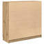 Sideboard With Drawers 100.5X35x98.5 Cm Engineered Wood-795893126