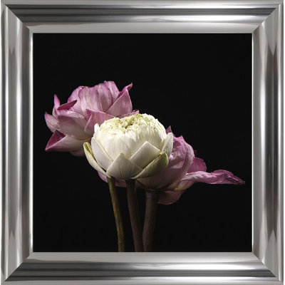Gerahmtes Poster Three Flowers No.2