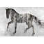 Reproduction de silhouette de cheval brun sur toile-98494090