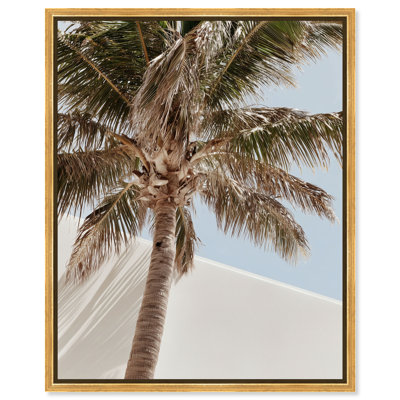 Monotone Tropics I Canvas Floral & Botanical Print by Oliver Gal, Black Frame, 16 x 20