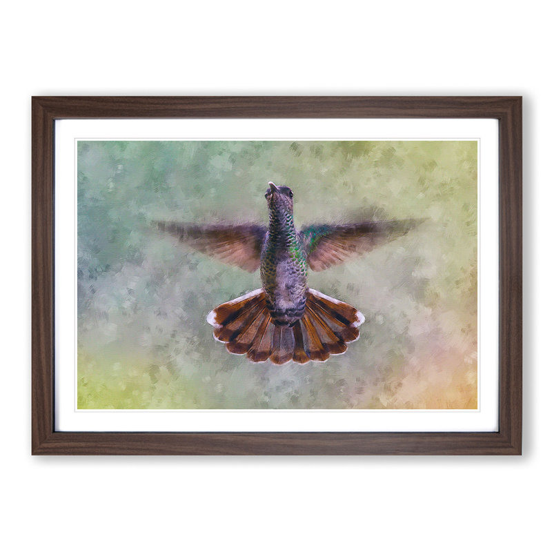Wings of a Hummingbird - Picture Frame Painting Print, Walnut Framed, 45cm H x 63cm W x 2cm D