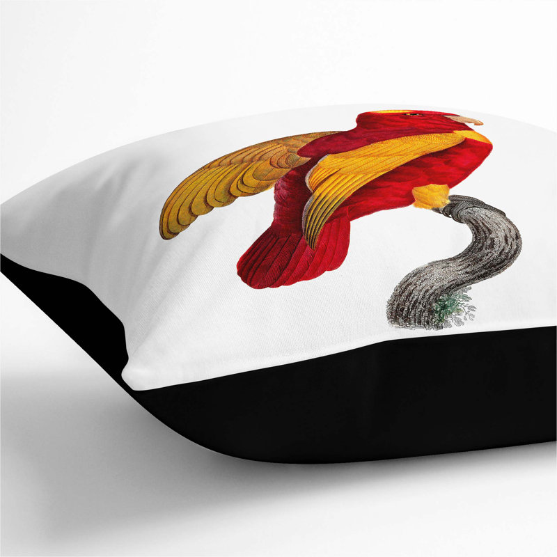 Square Cushion, 55cm H x 55cm W x 20cm D, Black