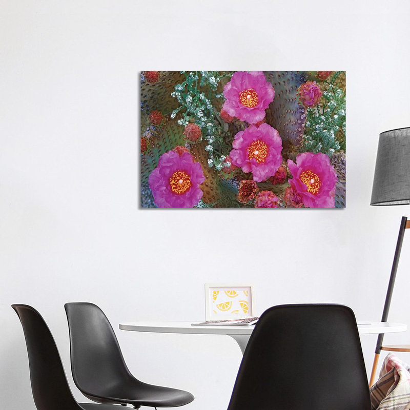 Beavertail Cactus Flowering, Arizona 1 Piece Wrapped Canvas Wall Art, 66.04 cm H x 101.6 cm W