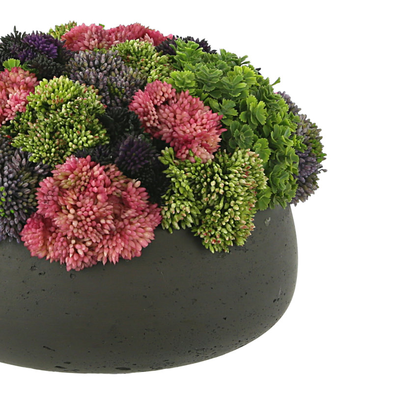 Sedum Arrangement in Fiberstone Planter, Dark Gray