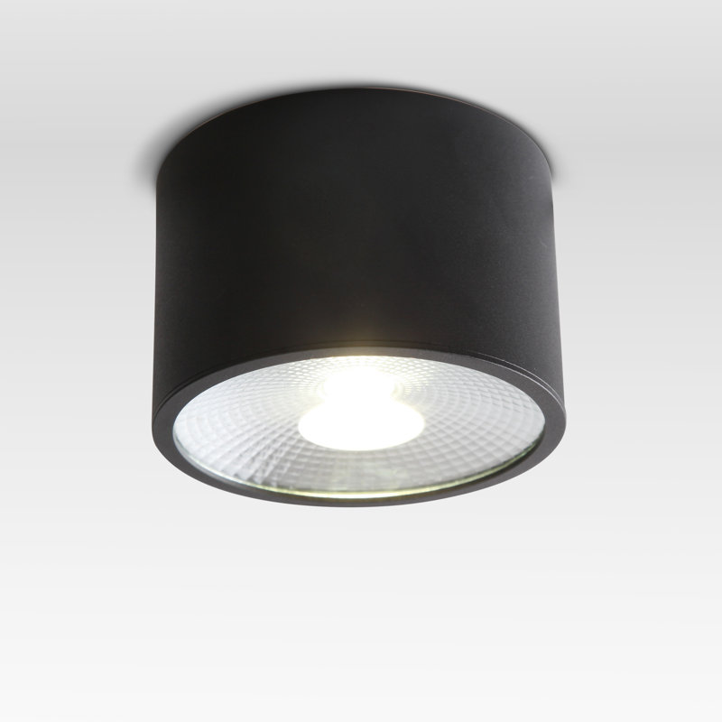 Plafonnier à DEL 4,7 pouces noir
