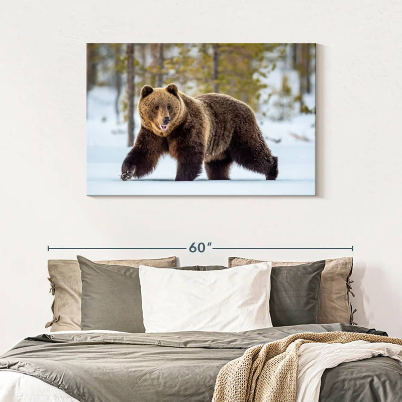 Adulte grizzly, H 30 po x l 45 po