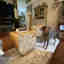 Customer photo 3 of 4