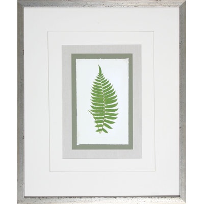 Fern2 - Cadre photo, impression sur papier