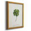 «Lucky Charm I» - Impression-1955274308