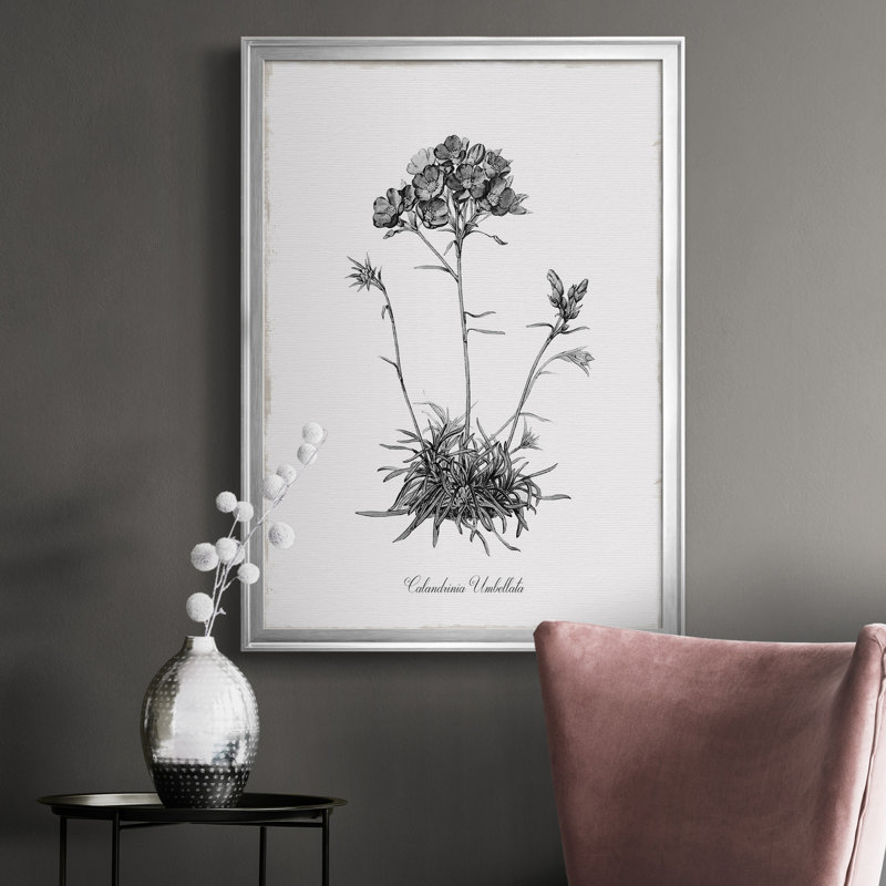 Simply Caladrinia - Cadre photo, impression sur toile, H 30,5 po x l 42,5 po x P 1,5 po, Argent