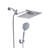 High Pressure Rainfall and Handheld Shower Combo-110679891