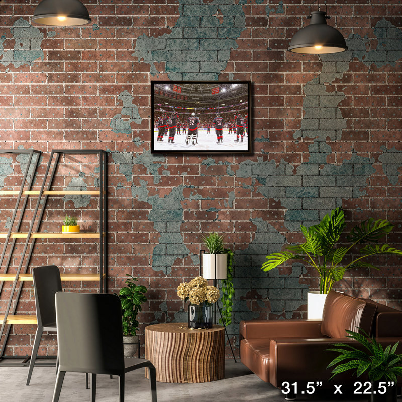 Carolina Hurricanes, encadré 20 x 29, célébrations