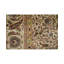 Wool Oriental Area Rug in Ivory