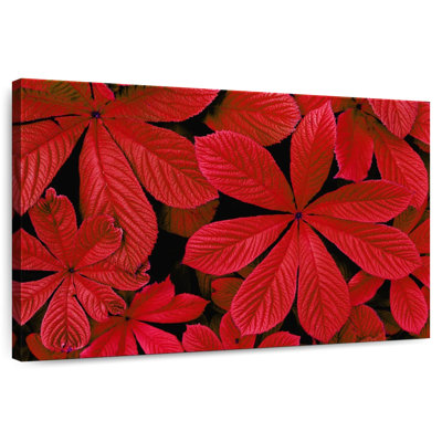 Harnek Red Autumn Foliage