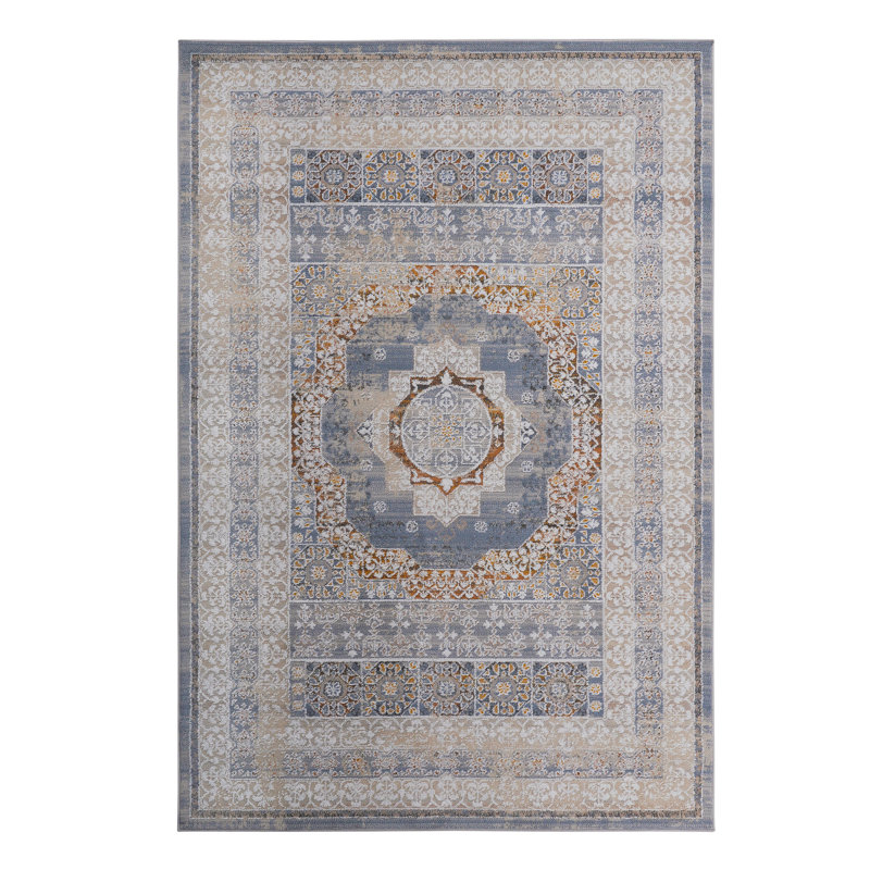 Collection Medallion Non-Shedding Living Room Bedroom Dining Home Office Stylish And Stain Resistant Area Rug