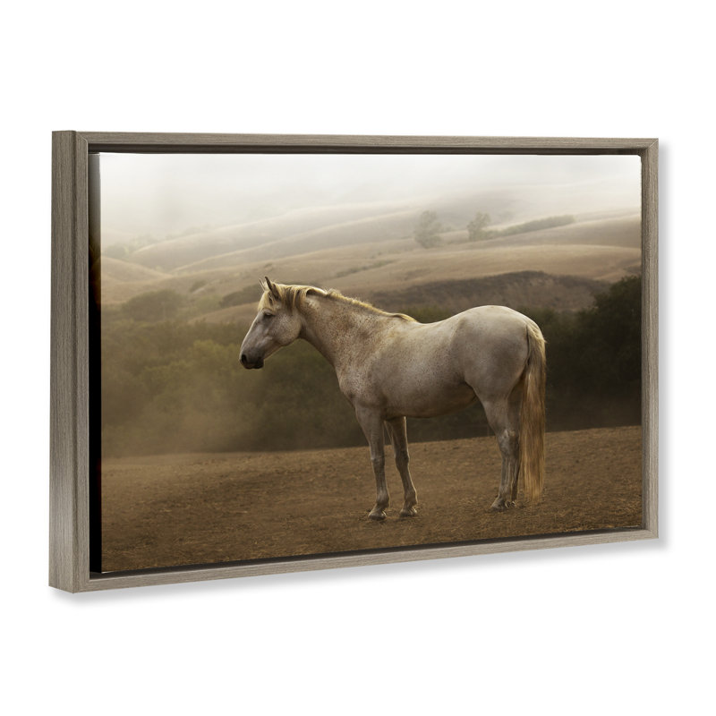 «Morning Mist Horse Portrait», art mural sur toile flottant gris par Jadei, H 21 po x l 31 po, Cadre flottant orme Montalcino